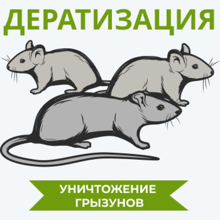 Дезинфекция с гарантией 100% | дизинфекция dizinfeksiya dezinfeksiya