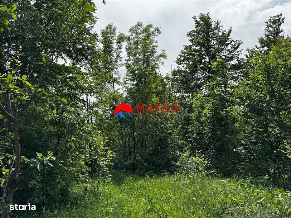Teren intravilan 1.300 mp în Cornu de Jos, Prahova – zona linistita, u