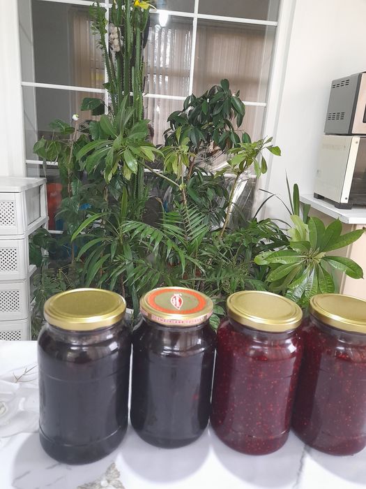 Домашние варения