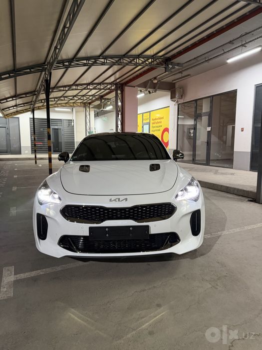 Kia stinger 2022 ideal
