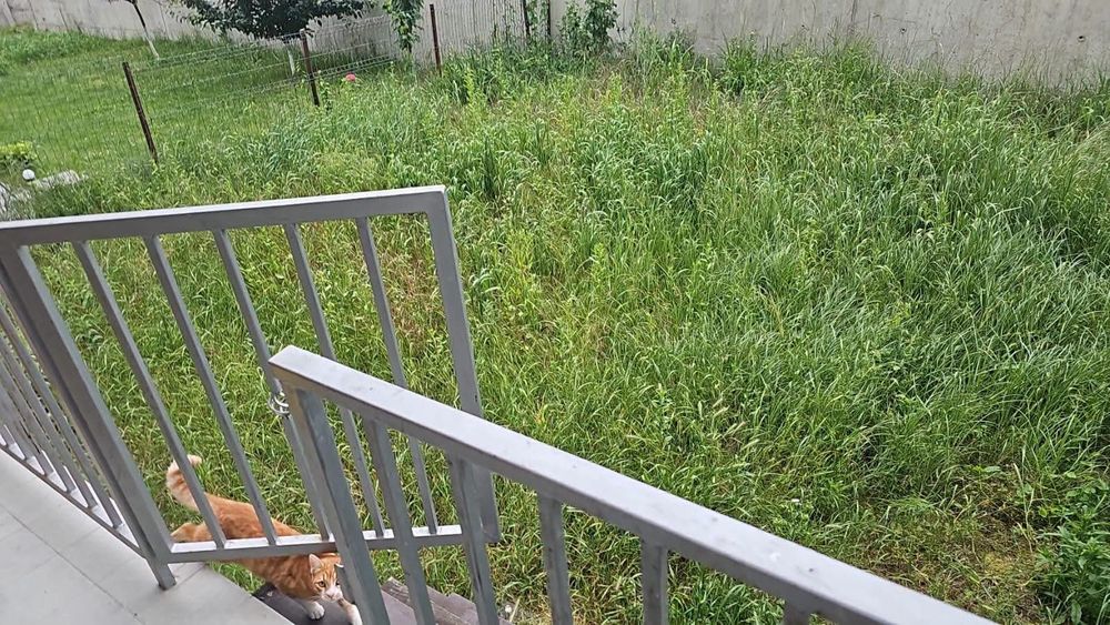 Apartament 2 camere Ostroveni, an construcție 2021