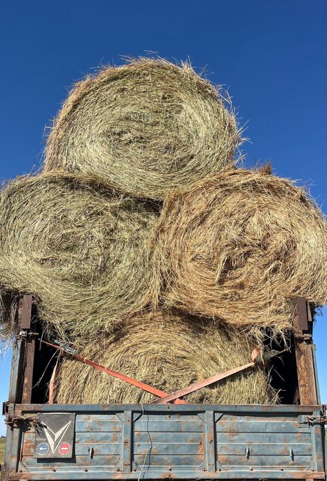 Рулон шөп , продам сено рулон прф145