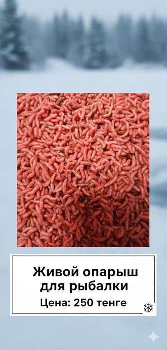 Барахолка рыбака