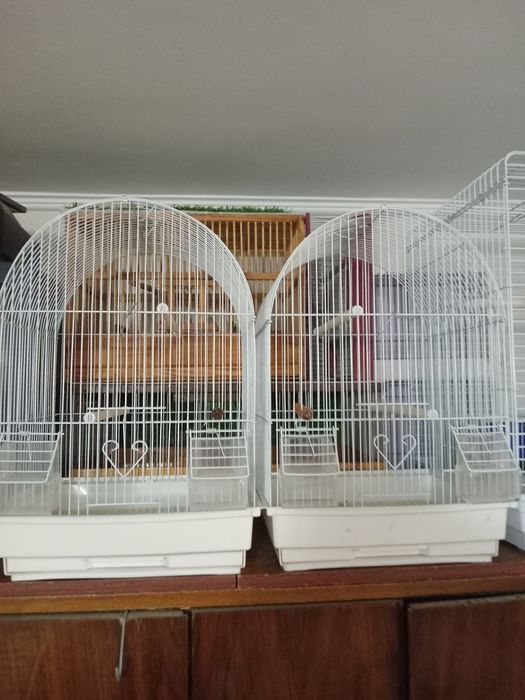 Клетки для декоративных птиц