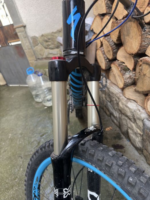 specialized status 1