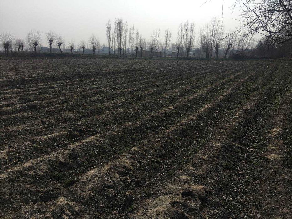 Земля более 60 соток