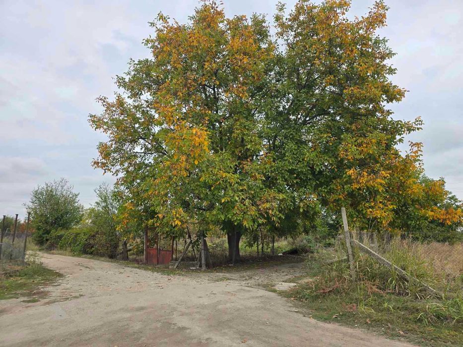 Продава се Парцел в с. Долнослав, Област Пловдив - 718 кв.м за 51 €/кв.м - Снимка #4