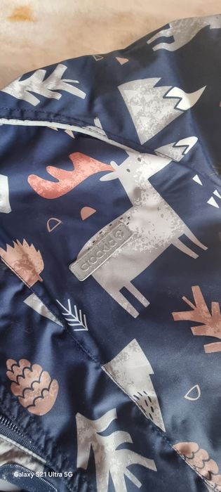 Конбенизон зимнии