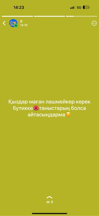 Динада бутикке лашмэйкер керек!!!