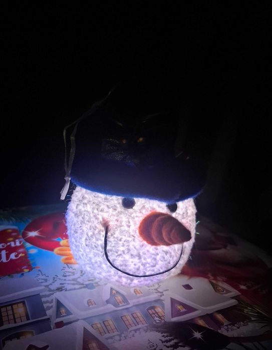 Figurine luminoase de craciun