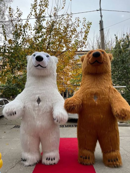 Ayiqlar | sharli oformleniya | Animatorlar | Afarmleniya | Оформление