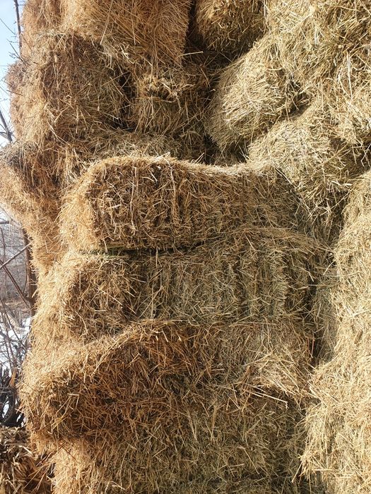 Продам сено в тюках