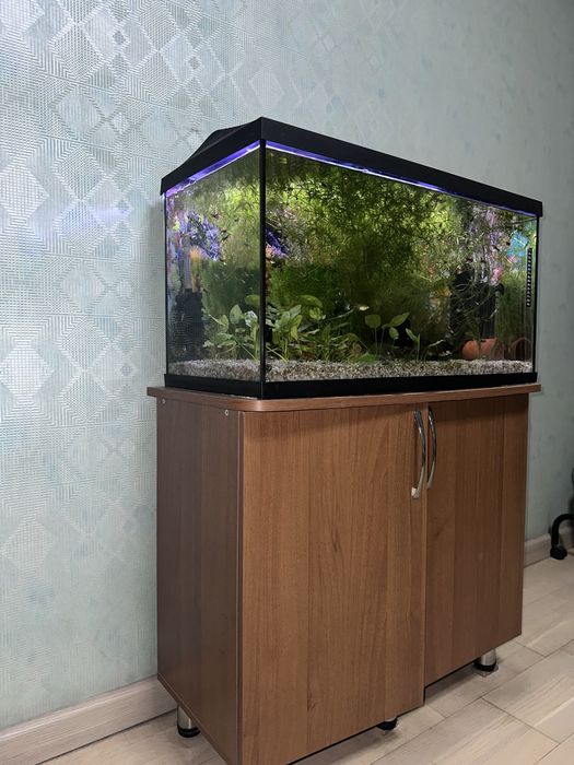 Продам аквариум.