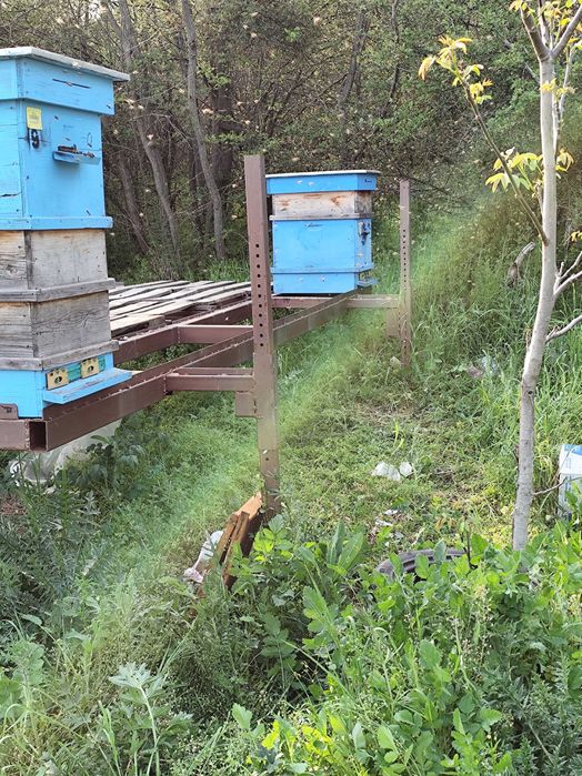 Пчеларска платформа