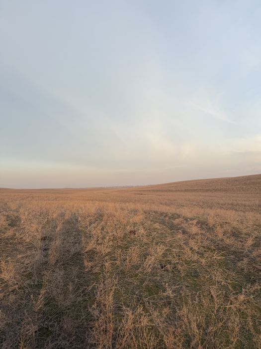 Продам участок 8,4га