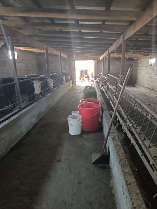 Продаётся фазенда!!!