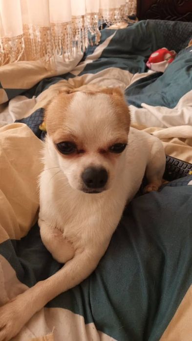 Мальчик ишо маленький