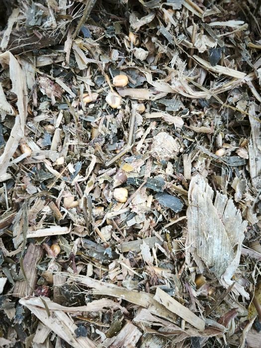 Силос       корма