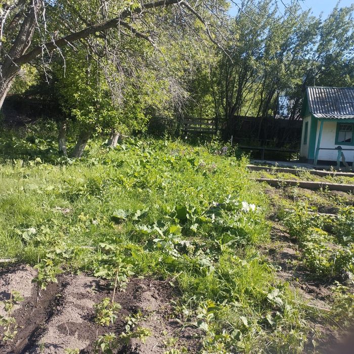 Продается Дача в городе Текели