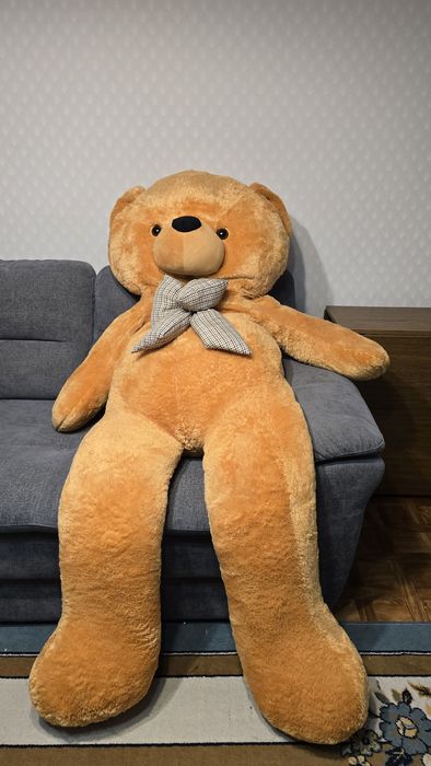 Отдам бесплатно. Самовывоз