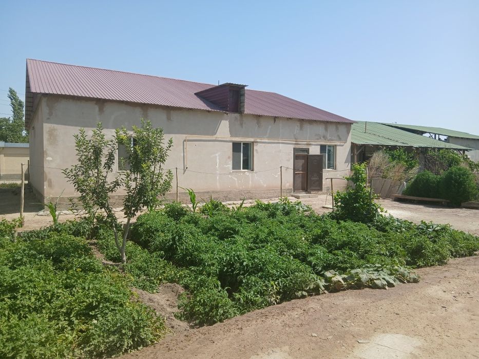 Кебыр ауыл уй сатылады