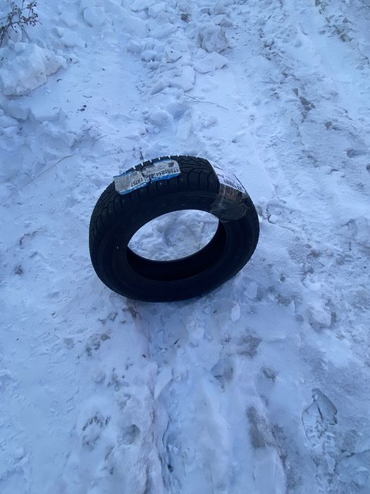 Зимние шипованные шины