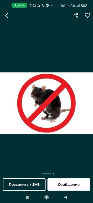 Kalamush va sichqonlarga dori natija zor