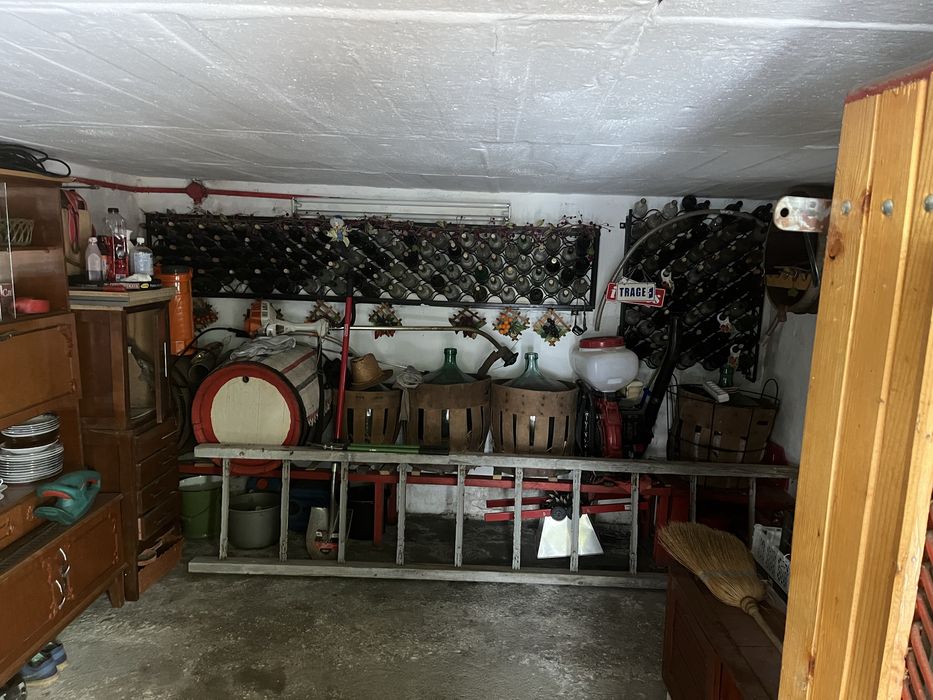 Casa de vanzare in dealul viilor Ineu