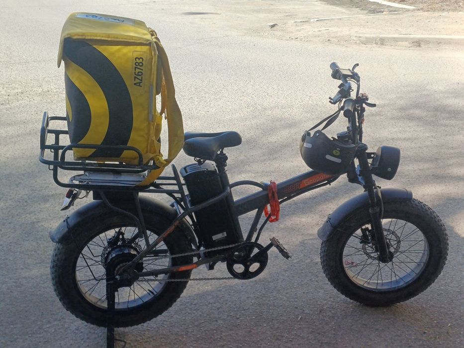 Электровелик леопард