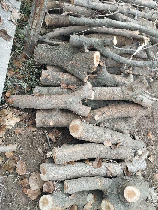 Срочно сотилади .