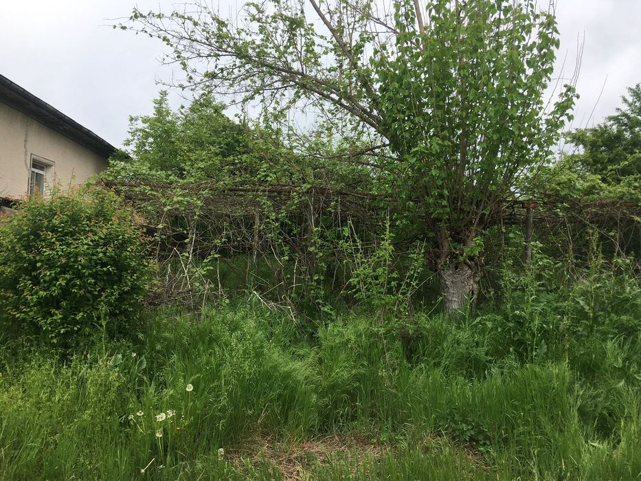 Почистване/извозване