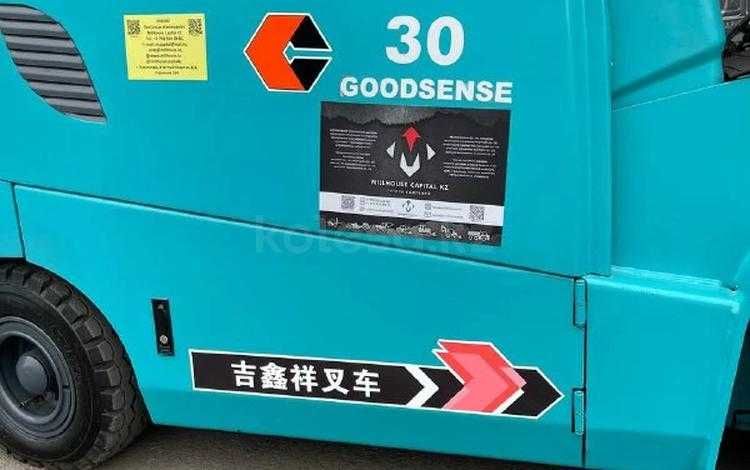 Goodsense FB30 ELECTRO 3х тонник 2025 г.