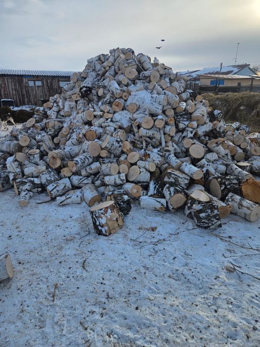 Продам дрова береза чурками