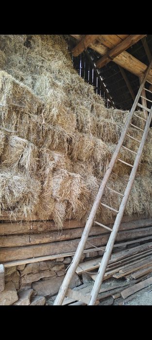 Vând baloți de fân (formă pătrată) – recolta 2025