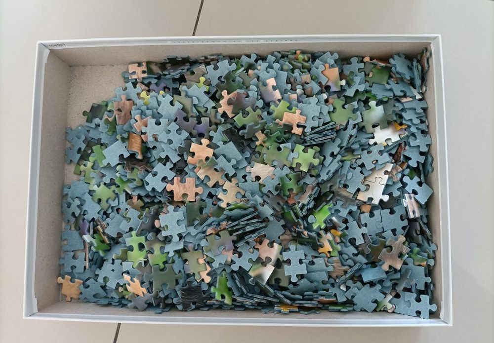 Puzzle de 1000 de piese - Iepuraș drăguț în iarbă