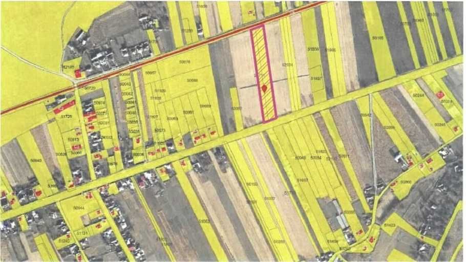 Teren 1 hectar la DN 15B -Deschidere 39 ml - Investitie Comerciala