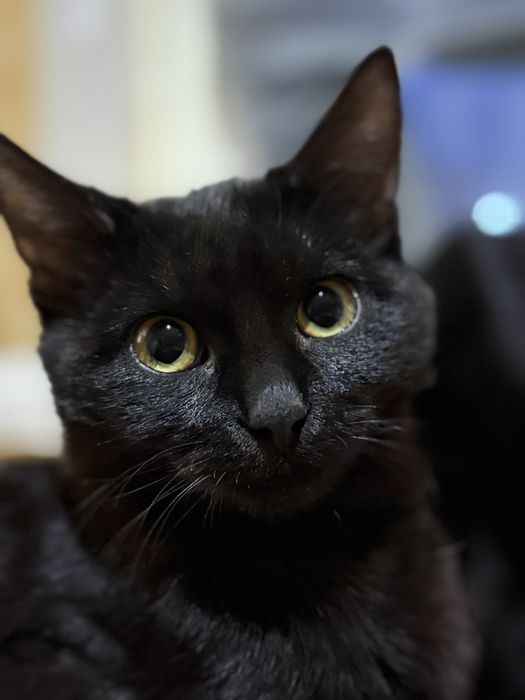 Мальчик 3-4 месяцев