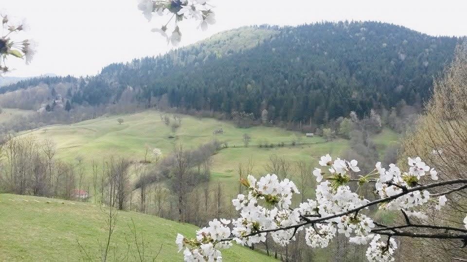 Casǎ tradiționalǎ de vânzare în Bucium Sat - la 500 m de Transapuseanǎ