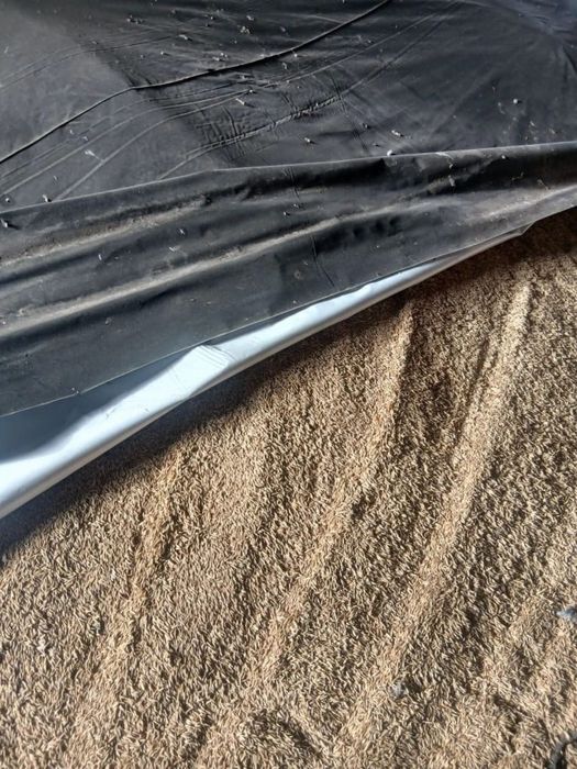 Овес продам! Сухой чистый .