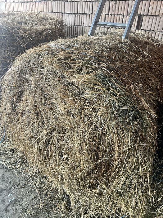 Vand baloti de fan si lucerna