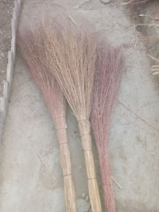 Hovli supurgi katta