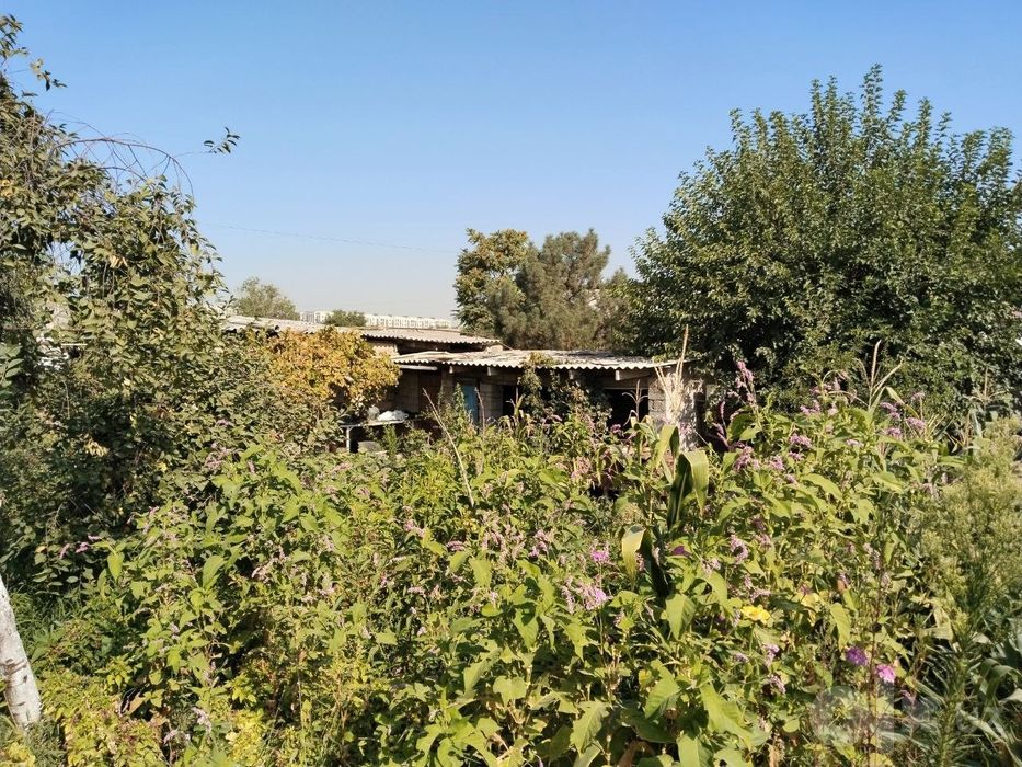 Sergili tumani Eski sergili maxallasi daryo bo'yi 176 uy