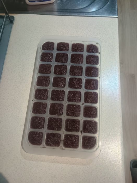 Замразен тубифекс