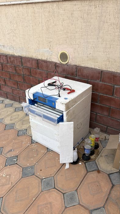 Инкубатор на 200 яиц