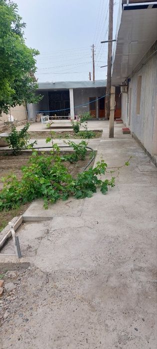 uy sotiladi tez arzon 6 sotox