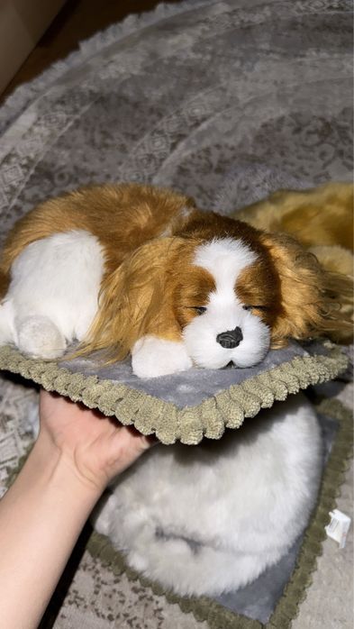 Игрушка в виде живых животных