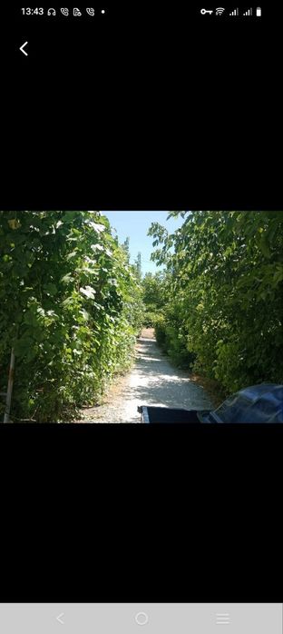 Uy sotiladi razezd135