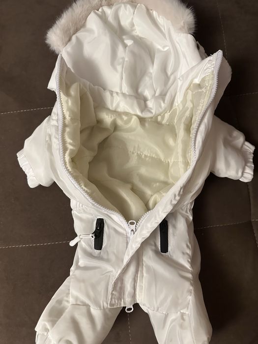 Костюм для собаки