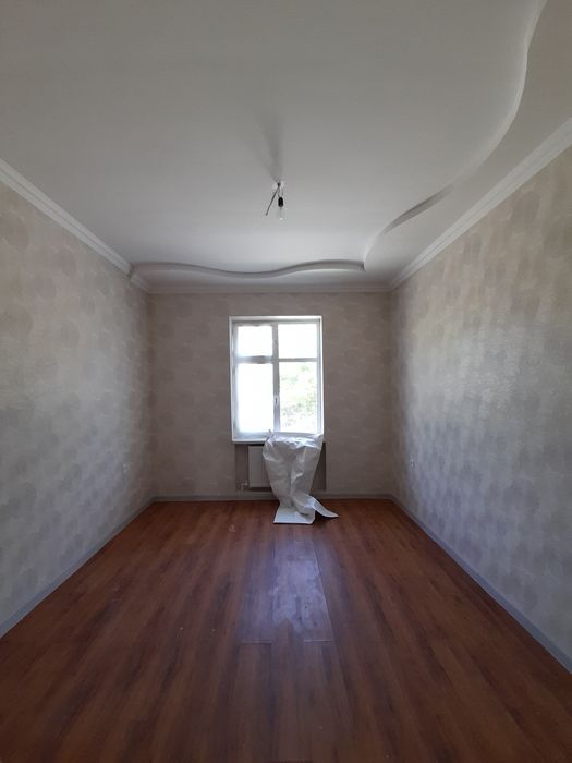 Катеж Сотилади Зелёный Нарпай Дамхужа йонида