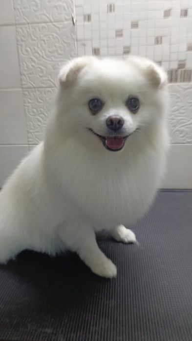 Ищем    подружку